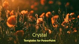  Presentation with remembrance - Presentation design with vivid-poppy-field-armistice background and a tawny brown colored foreground