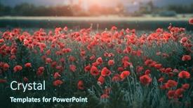  Presentation with remembrance day - Slides featuring vivid-poppy-field-armistice background and a tawny brown colored foreground