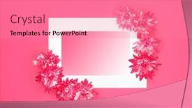  Presentation with white flower frame - PPT theme enhanced with vivid-red-chrysanthemum-flower-abstract background and a coral colored foreground