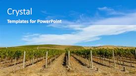  Presentation with green hills - Theme consisting of vivid-scenery-with-rows background and a teal colored foreground