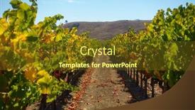  Presentation with green hills - Colorful theme enhanced with vivid-scenery-with-rows backdrop and a tawny brown colored foreground