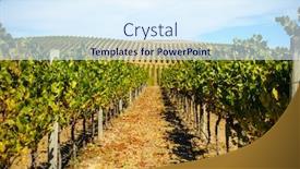  Presentation with green hills - Audience pleasing slides consisting of vivid-scenery-with-rows backdrop and a sky blue colored foreground