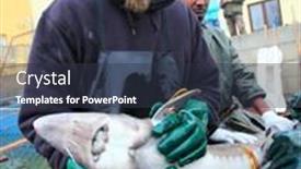  Presentation with sturgeon - 