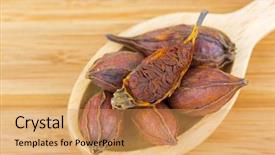  Presentation with traditional chinese medicine - Presentation having volatility - dried fruit of gardenia also background and a yellow colored foreground