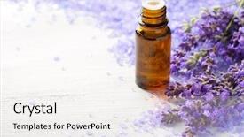  Presentation with mineral - PPT theme enhanced with volatility - lavender essential oil sprigs background and a white colored foreground