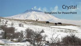  Presentation with wild horses - Presentation theme with volcano from winter nebrodi park background and a light blue colored foreground