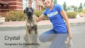  Presentation with dog shelter - Slide set enhanced with volunteering and animal shelter background and a light gray colored foreground