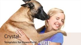  Presentation with animal shelter - PPT theme with volunteering and animal shelter background and a coral colored foreground