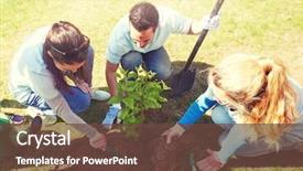  Presentation with tree planting - PPT theme having volunteering charity people and ecology background and a tawny brown colored foreground