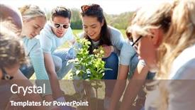  Presentation with tree planting - PPT theme with volunteering charity people and ecology background and a violet colored foreground