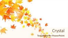  Presentation with autumn leaves falling - PPT theme consisting of vortex - autumn falling leaves isolated background and a cream colored foreground