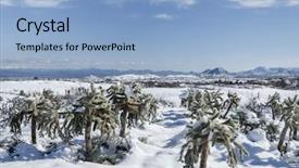  Presentation with parks and recreation snow storm - Cool new theme with vortex - desert snow storm scene joshua backdrop and a light blue colored foreground