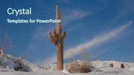  Presentation with saguaro - PPT theme consisting of vortex - desert snow storm scene saguaro background and a ocean colored foreground
