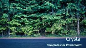  Presentation with fire emergency forest - PPT theme with vs - wet asphalt and forest background and a ocean colored foreground
