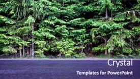  Presentation with fire emergency forest - Slides featuring vs - wet asphalt and forest background and a violet colored foreground