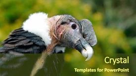  Presentation with career milestone close up - Theme having quince yelow with green leaves background and a mint green colored foreground