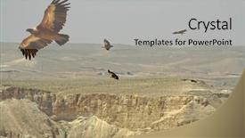  Presentation with soaring - Presentation design consisting of vultures soaring over sede boker background and a light gray colored foreground