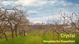  Presentation with apricot - Amazing theme having wachau landscape with apricot trees backdrop and a tawny brown colored foreground