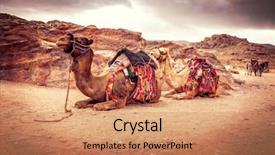  Presentation with rum - PPT theme enhanced with wadi rum jordan group background and a coral colored foreground