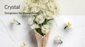  Presentation with narcissus - Audience pleasing theme consisting of waffle cone with narcissus flower backdrop and a soft green colored foreground