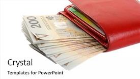  Presentation with poster on white wall above - Theme with wages spending - wallet with polish zloty isolated background and a white colored foreground