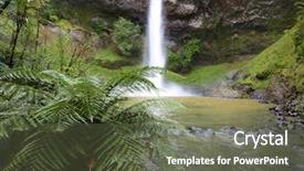  Presentation with new zealand silver fern black - Slide deck featuring waikato - bridal veil falls new zealand background and a  colored foreground
