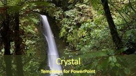  Presentation with tropical forest - PPT layouts having waikato - waterfall in tropical forest new background and a  colored foreground