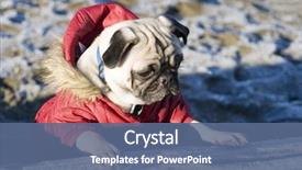  Presentation with wait - Amazing slide deck having m dia - wait for me - i'm backdrop and a ocean colored foreground