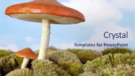  Presentation with waiting - Amazing PPT layouts having waiting for fairies and gnome backdrop and a sky blue colored foreground