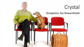  Presentation with veterinary - PPT theme having waiting room by veterinary background and a white colored foreground