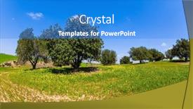  Presentation with israel - Presentation theme consisting of walk-among-fresh-green-grass background and a cobalt blue colored foreground