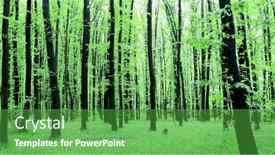  Presentation with walk - 