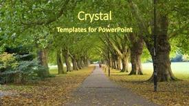  Presentation with pathway - PPT layouts featuring walk way - beatiful pathway under the trees background and a tawny brown colored foreground