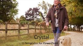  Presentation with walk - Audience pleasing presentation theme consisting of walk with dog on path backdrop and a gold colored foreground