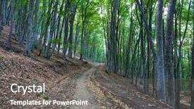  Presentation with walking dead - PPT theme having walking dead - landscape with pathway in beech background and a gray colored foreground