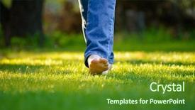  Presentation with garden - PPT theme featuring  background and a  colored foreground