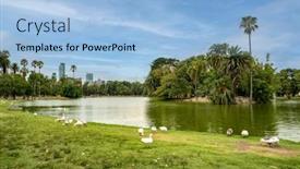  Presentation with geese - Presentation consisting of walking-geese-in-rosedal-park background and a light blue colored foreground