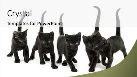  Presentation with black women support group - PPT layouts with walking in the same direction background and a white colored foreground