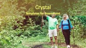  Presentation with woods - Beautiful presentation theme featuring walking in the woods backdrop and a tawny brown colored foreground