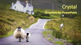  Presentation with scotland - Presentation having walking on street in scotland background and a tawny brown colored foreground