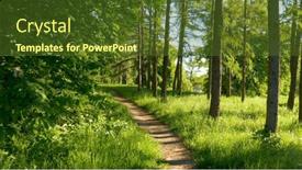  Presentation with sunrise in the city - Presentation theme featuring walking-path-in-sunny-urban background and a tawny brown colored foreground