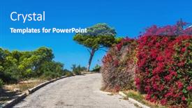  Presentation with tree sky trees green - Presentation design consisting of walking-path-surrounded-by-bushes background and a teal colored foreground