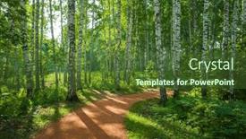  Presentation with green relaxation - PPT theme with walking-path-through-green-birch and a  colored foreground