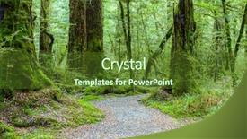  Presentation with new zealand - Beautiful PPT theme featuring walking route in the temperate backdrop and a tawny brown colored foreground