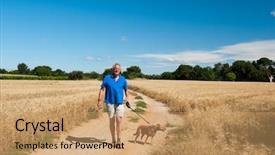  Presentation with free dog - PPT layouts with walking the dog in free background and a  colored foreground