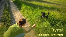  Presentation with companion - Slides with throwing the stick to fetch background and a tawny brown colored foreground