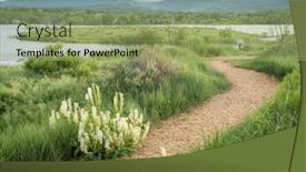  Presentation with walking trail - Presentation with walking-trail-and-wildflowers background and a seafoam green colored foreground
