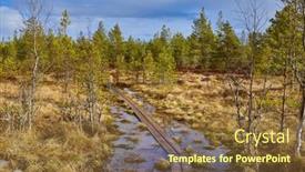  Presentation with walking trail - PPT theme featuring walking-trail-in-a-swamp background and a tawny brown colored foreground