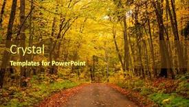  Presentation with walking trail - Colorful presentation enhanced with walking-trail-in-porcupine-wilderness backdrop and a tawny brown colored foreground