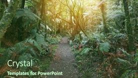  Presentation with walking trail - Slide deck enhanced with walking trail in tropical forest background and a tawny brown colored foreground